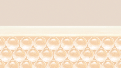 Imagen: Retiene la humedad